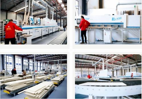 雪寶集團 大國工匠，家居典范